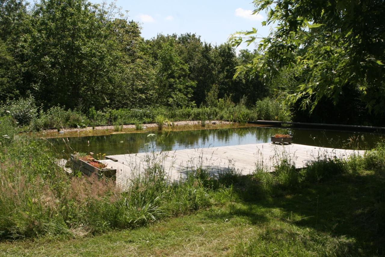Bed and Breakfast Ecolieu Le Chant Du Temps Saint-Usuge Exteriér fotografie